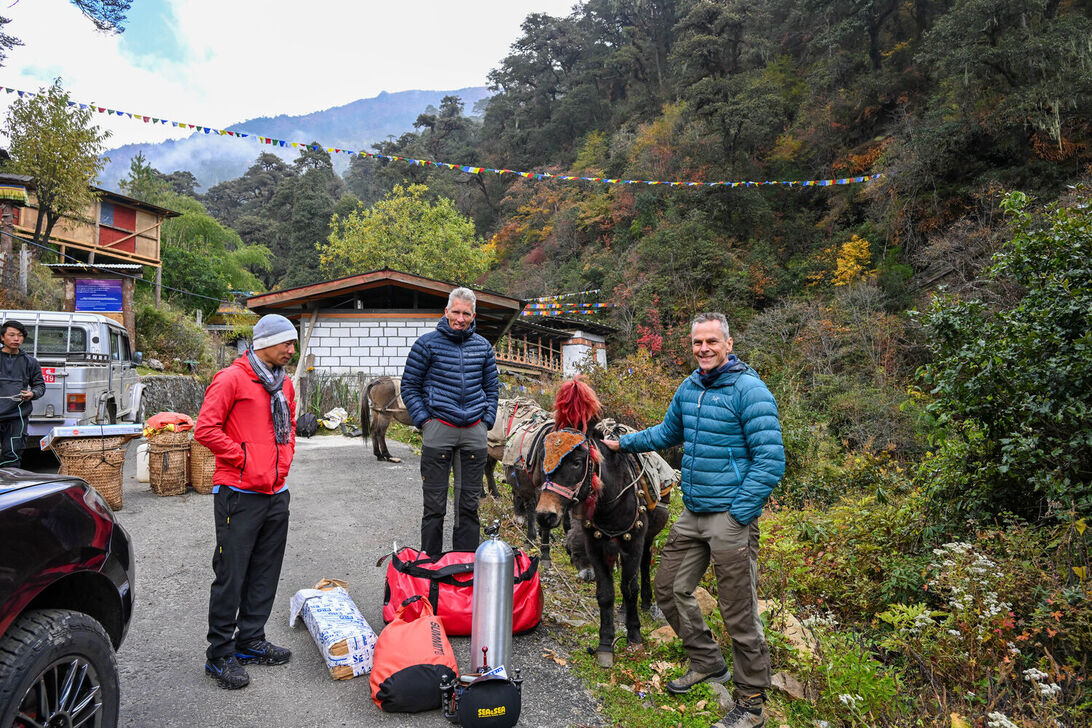 Packdjur på stig Packdjur på stig