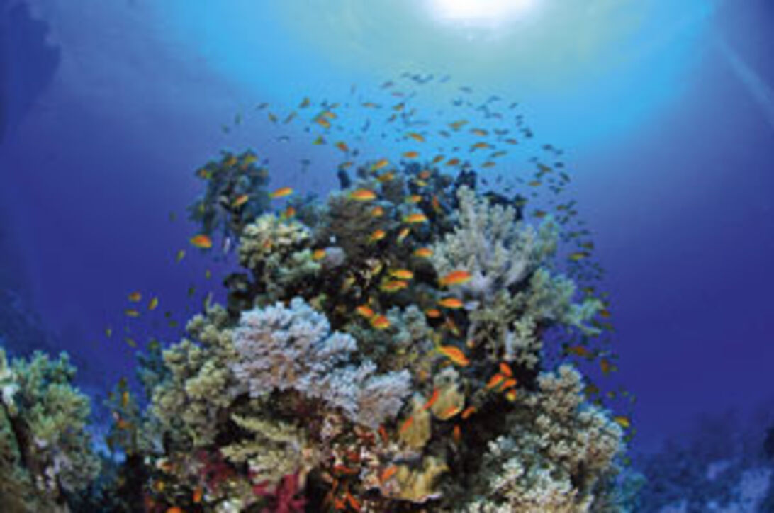 Marsa Alam