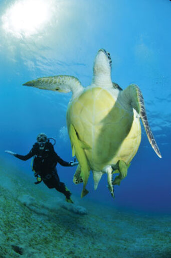 Marsa Alam