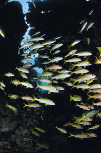 Marsa Alam