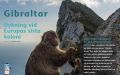 Gibraltar – Dykning vid Europas sista koloni