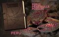 Perus praktfulla porslin – Ur Frodes loggbok