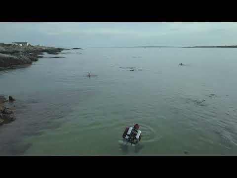 Kort video från dykresan till Carraroe på Irland.  Video: Torbjörn Gylleus