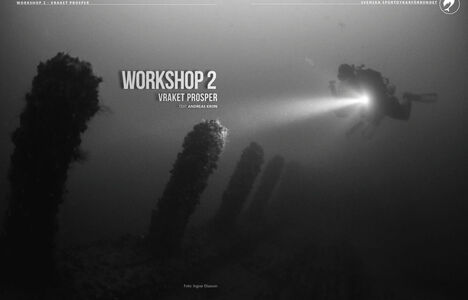 Workshop 2 – Vraket Prosper