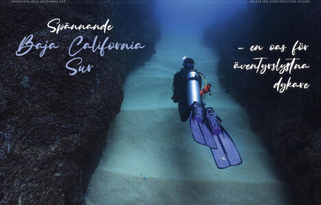 Dykplatsen Land's End