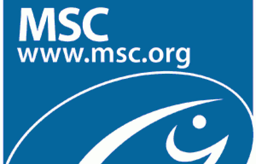 Marine Stewardship Councils (MSC:s) miljömärke