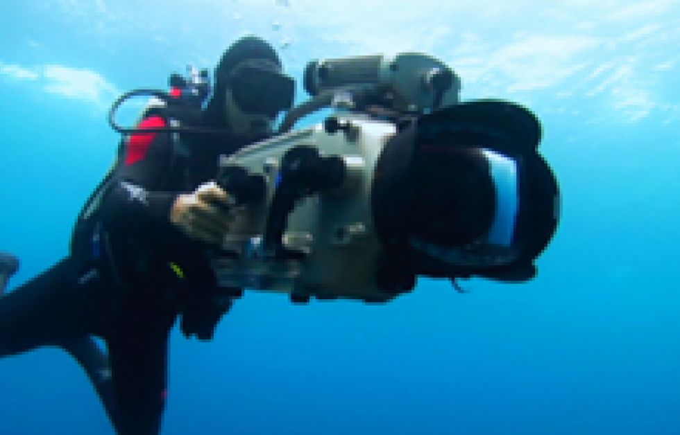 Prisbelönade dokumentären "Sharkwater" till Sverige