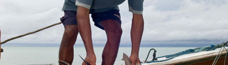 Hur räddar man ett monster?