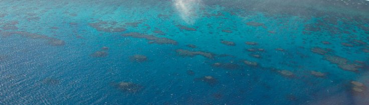 Stora Barriärrevet – ensamt i sitt slag 