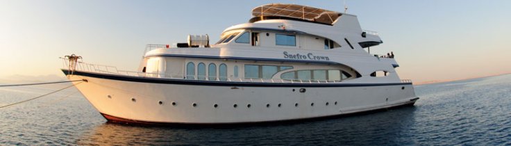 Liveaboard – CDWS præsenterer: Rødehavet fra nord til syd Liveaboard – CDWS præsenterer: Rødehavet fra nord til syd