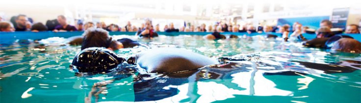 Copenhagen Diveshow – om det inte vore för snön…..