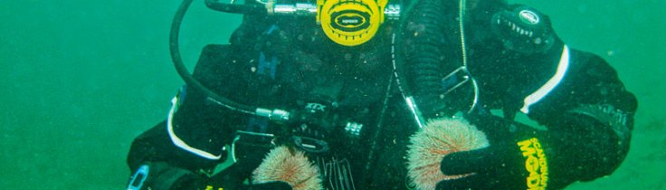 OWUSS-stipendiet – Ingrids dagbok juli