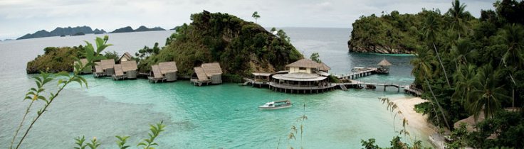 Raja Ampat – i wobbegongernas värld