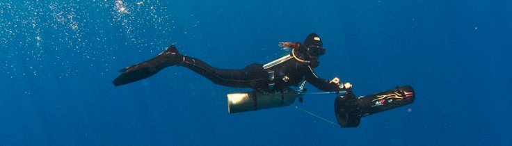 Monkey Diving – join the revolution