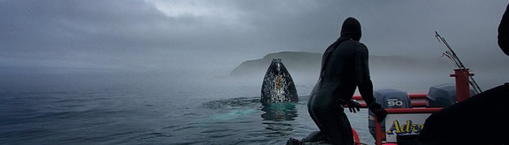 Newfoundland – äventayr i Atlanten