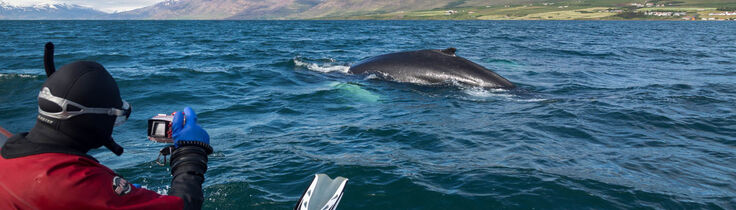 Foto: Sævör Dagný Erlendsdóttir