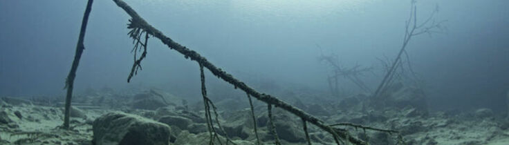 Under vattenslandskap