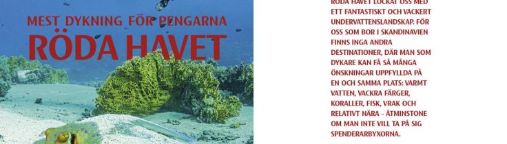 Mest dykning för pengarna – Röda Havet