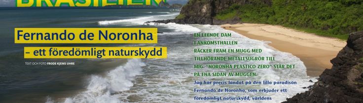 Brasilien – Fernando de Noronha