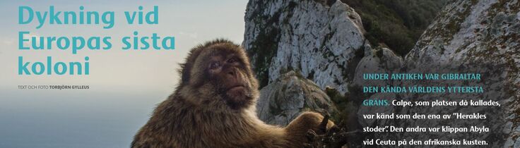 Gibraltar – Dykning vid Europas sista koloni Gibraltar – Dykning vid Europas sista koloni