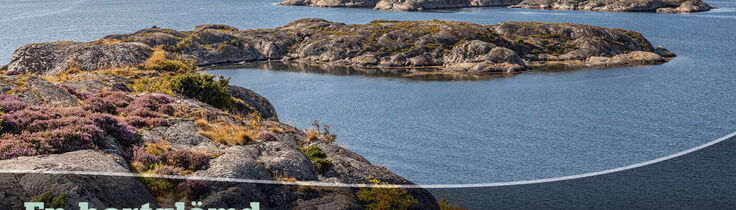 Vänern – En bortglömd skeppskyrkogård