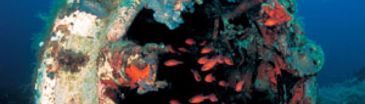 Korsika – bevingade vrak