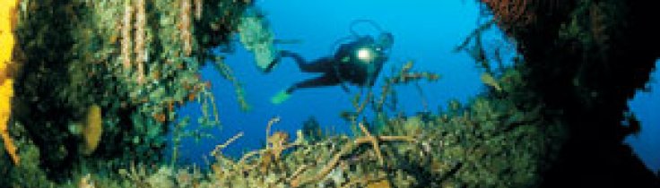 Korallkalas – Wakatobi visar vägen