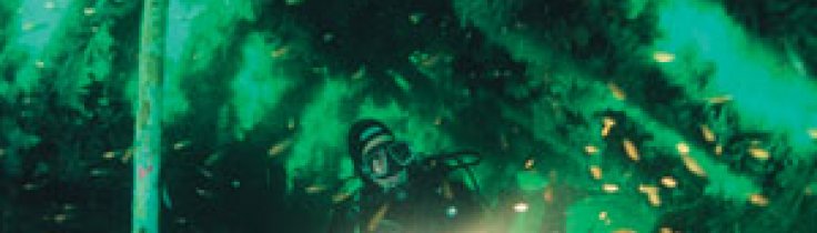 Lysekil – med smak av sommaren…