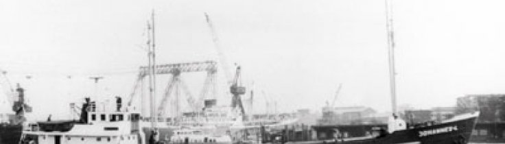 Johannes L – Vraklexikon #31