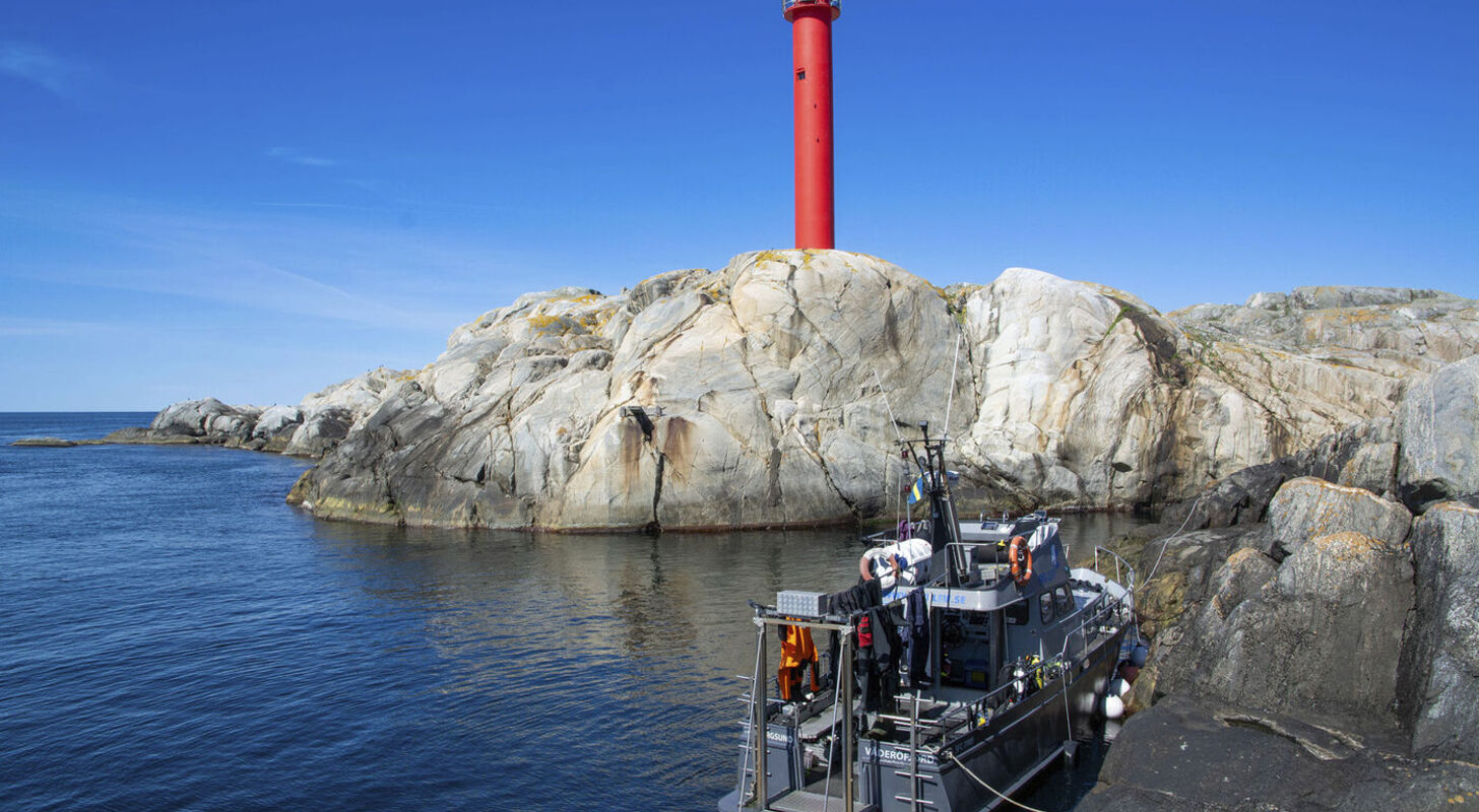Paus på klipporna Paus på klipporna
