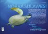 Norra Sulawesi – Bunaken, Bangka och Lembeh. En trippel i dykparadis