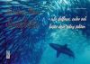 Sardine Run i Sydafrika – när delfiner, sulor och hajar drar igång jakten